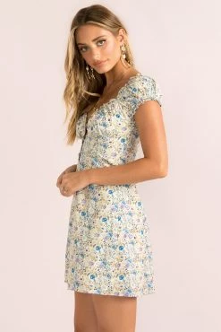 Sundae Muse Yasmin Dress / Blue Floral