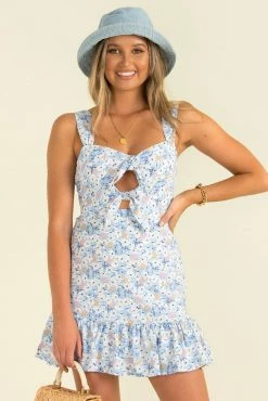 Sundae Muse Jackie Dress / Blue