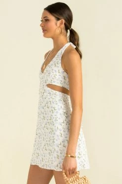 Sundae Muse Cassia Dress / Blue Floral Mini Dresses